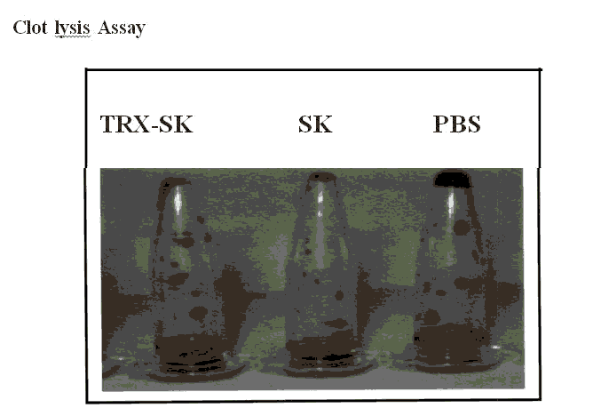 journal-research-assay