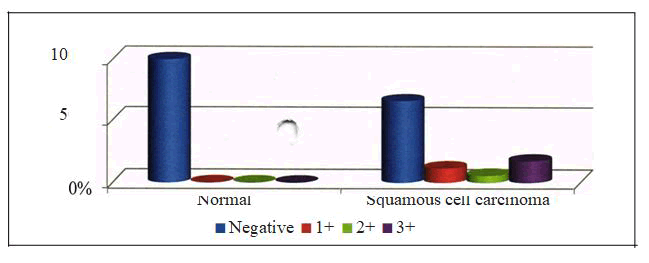 journal-research-grading