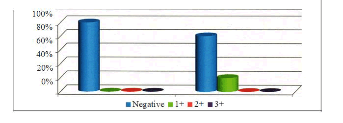 journal-research-group