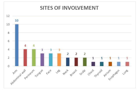 journal-research-involvement