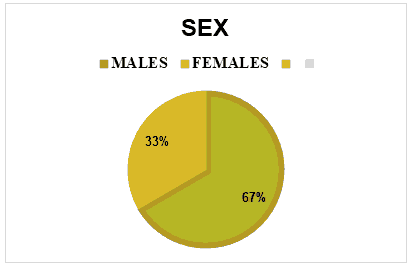 journal-research-male