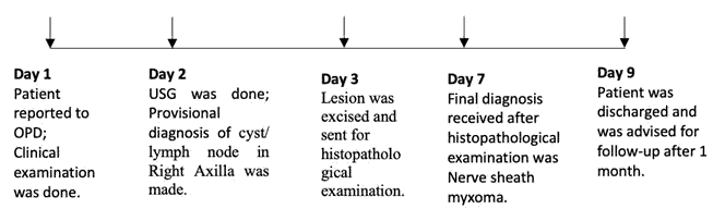 journal-research-timeline