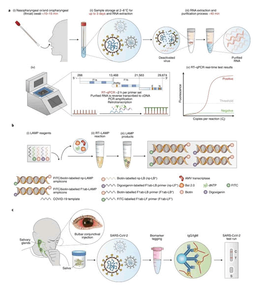 medical-denta-science