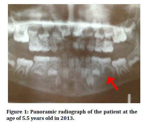 medical-dental-Panoramic