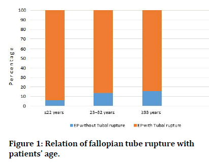 medical-dental-Relation-fallopian