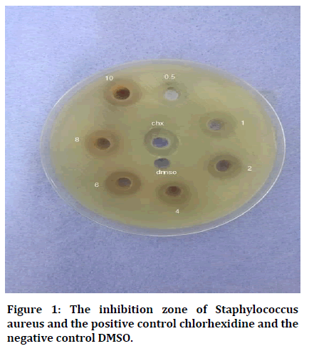 medical-dental-Staphylococcus