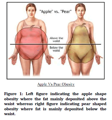 medical-dental-apple-shape