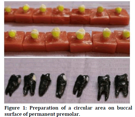 medical-dental-circular