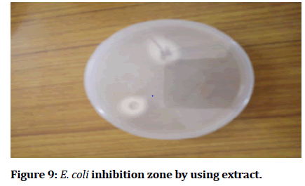 medical-dental-inhibition-zone