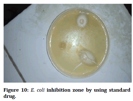 medical-dental-inhibition-zone