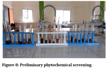 medical-dental-phytochemical-screening