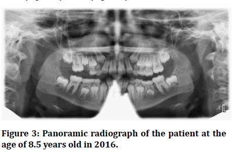 medical-dental-radiograph