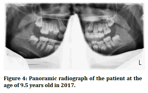medical-dental-radiograph