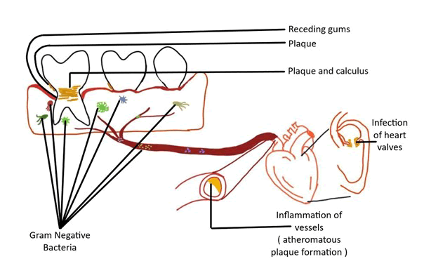 medical-dental-science