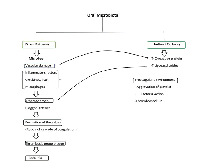 medical-dental-science