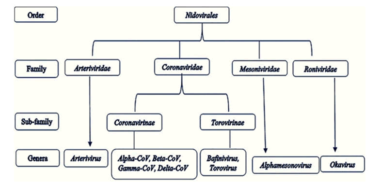 medical-dental-science