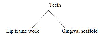 medical-dental-science