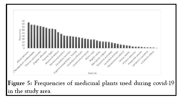 medicinal-aromatic-covid