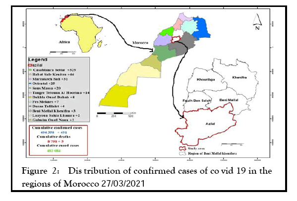 medicinal-aromatic-morocco