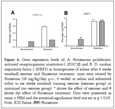 muscular-system-fluoxetine-treatment