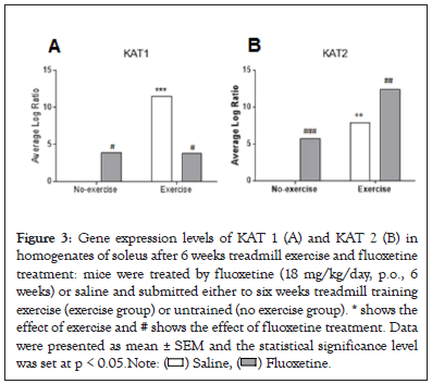 muscular-system-gene-expression