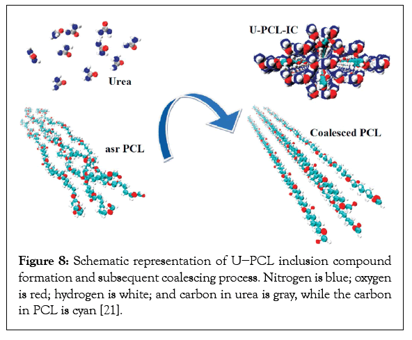 nanomedicine-biotherapeutic-coalescing