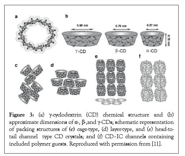 nanomedicine-biotherapeutic-dimensions