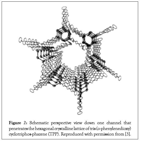 nanomedicine-biotherapeutic-hexagonal