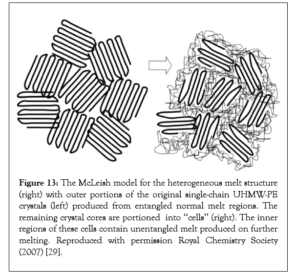 nanomedicine-heterogeneous