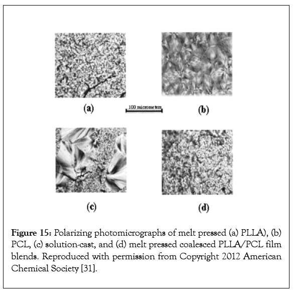 nanomedicine-photomicrographs