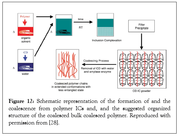 nanomedicine-polymer