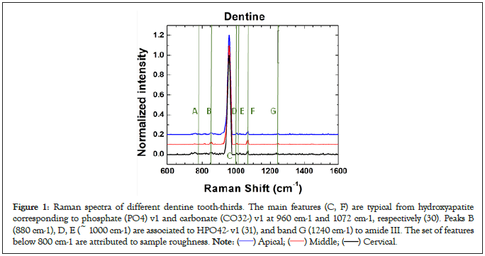 odontology-citric-acid-raman-spectra