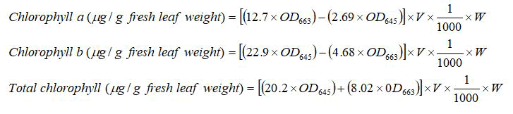 Equation