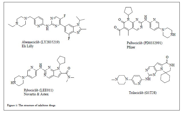 organic-chemistry-inhibitor