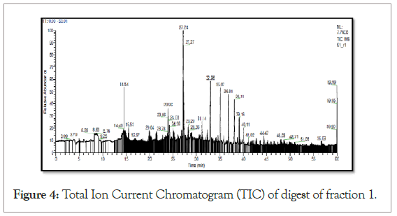 Chromatogram