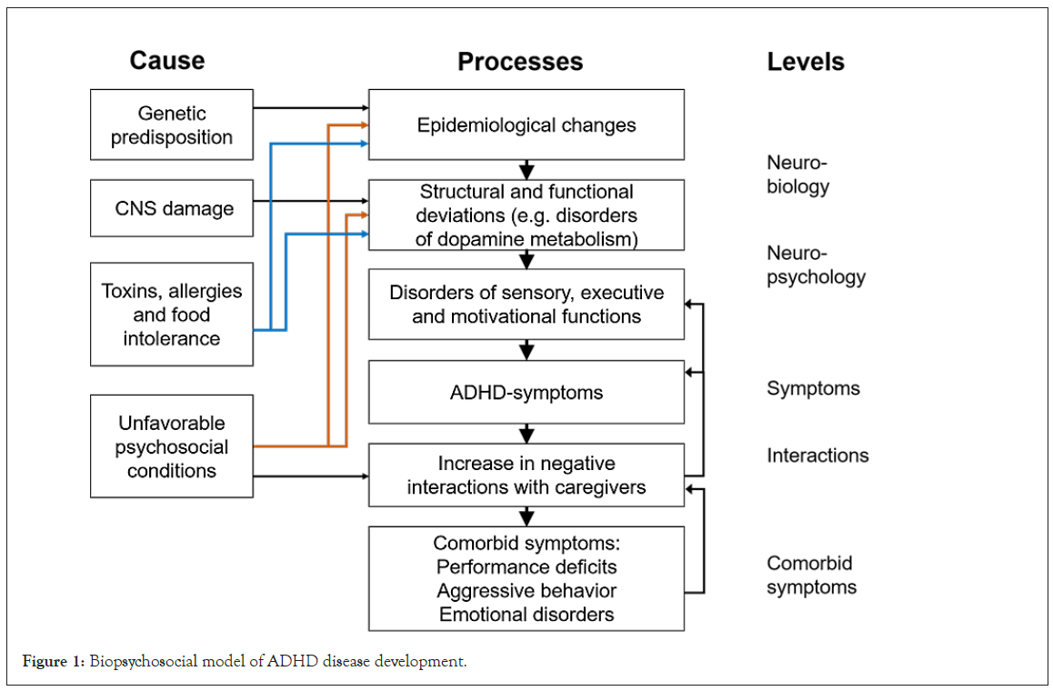 Biopsychosocial