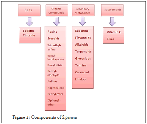 plant-biochemistry-components