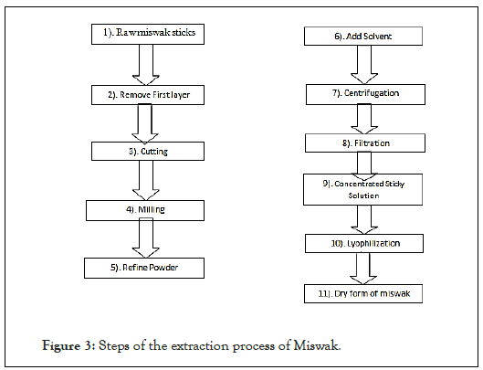 plant-biochemistry-miswak