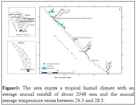 pollution-and-effects-tropical