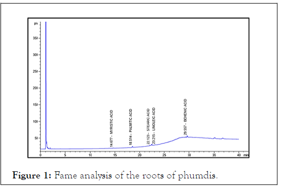 pollution-fame