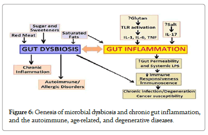 probiotics-health-chronic