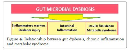 probiotics-health-dysbiosis