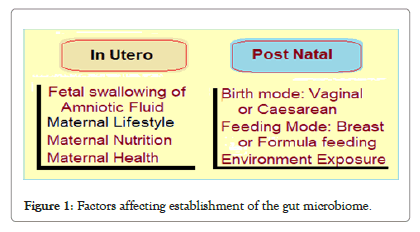 probiotics-health-establishment