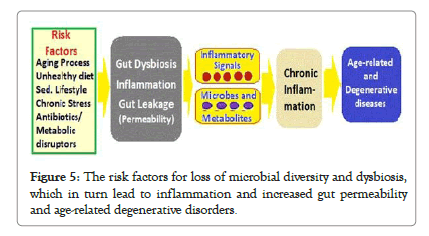 probiotics-health-inflammation