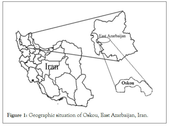 reproductive-geographic