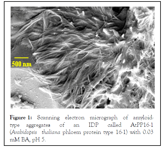 safety-measures-micrograph