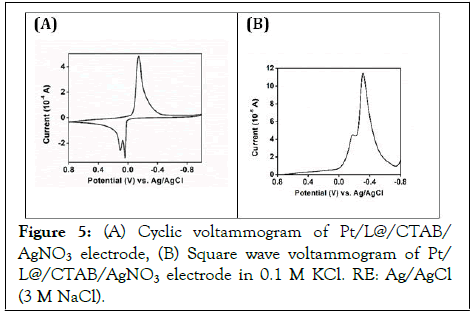 spectrometry-elctrode