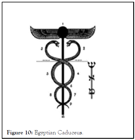 toxicology-egyptian