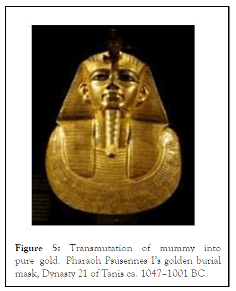 PDF) Toxicology and snakes in Ptolemaic Egyptian dynasty: the