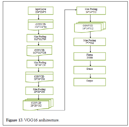 tumor-architecture